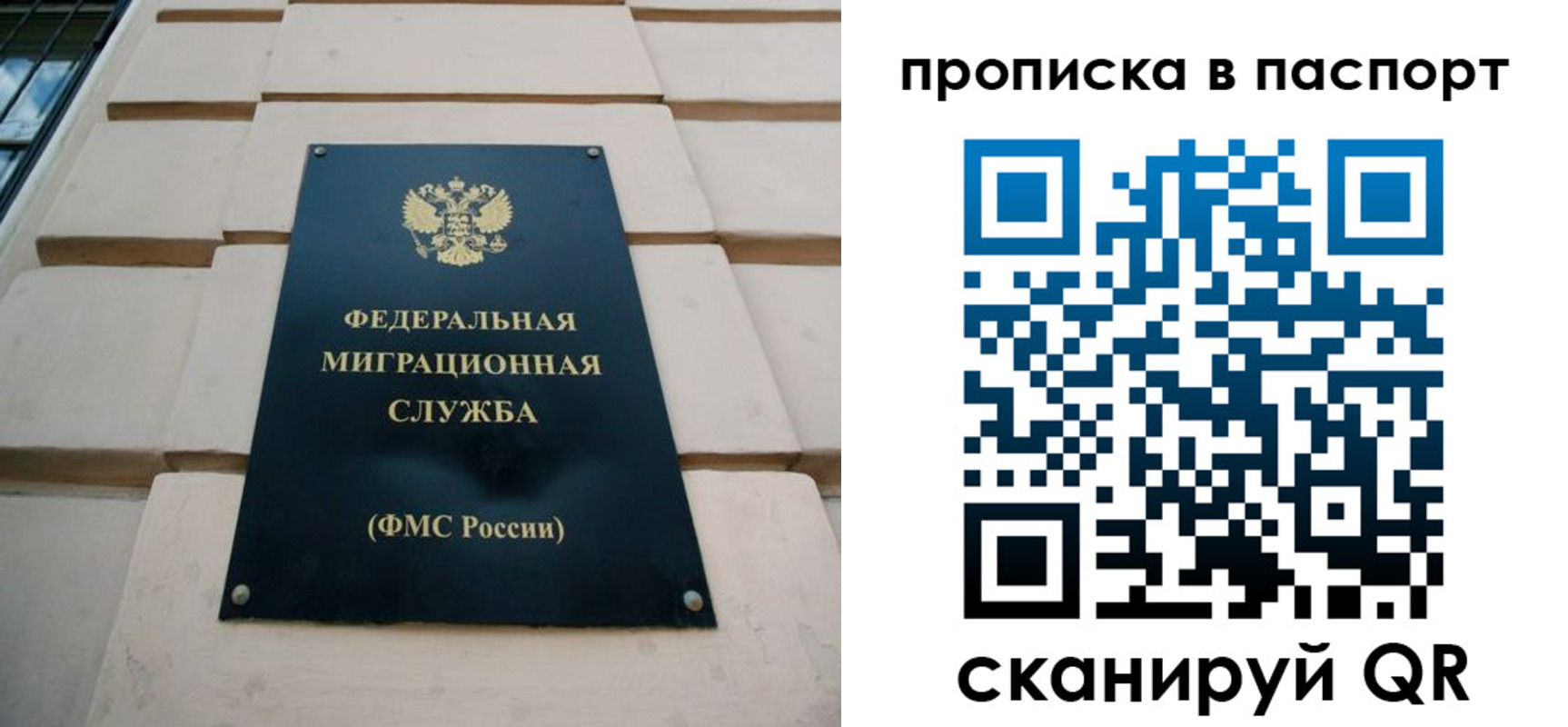 найти адрес прописки в Сертолово